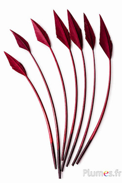 Schwan Pfeilform - 20-30 cm - bordeaux